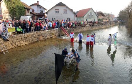 POKOP PUSTA 10 FOTO LJUBO VUKELIČ